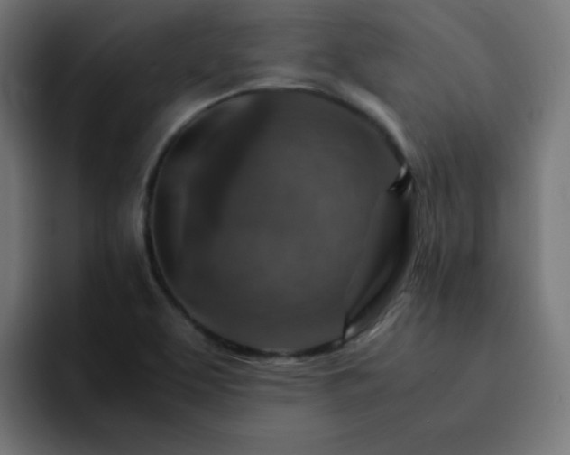 X0000093151463200710101127