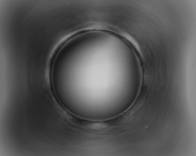 X0000093151464200710101127