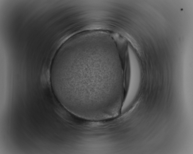 X0000093151465200710101126