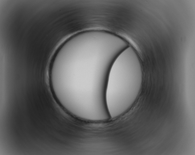 X0000093151468200710101126