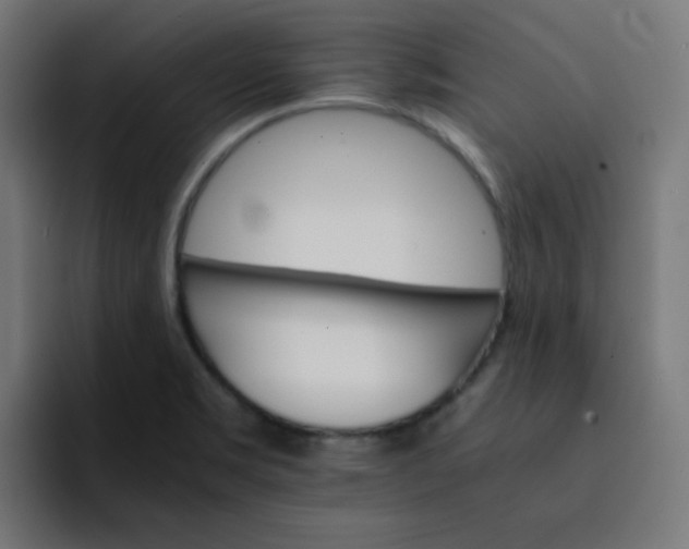 X0000093151469200710101126