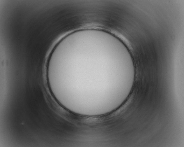 X0000093151470200710101126