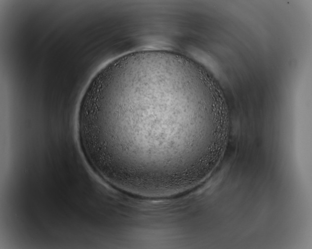 X0000093151471200710101126