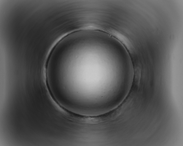 X0000093151476200710101126