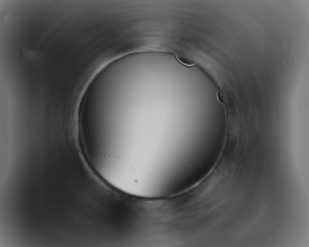 X0000093151479200710101126