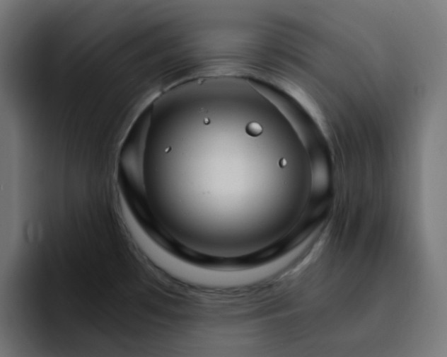 X0000093151481200710101126