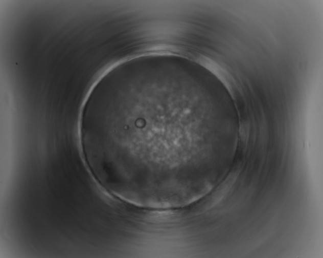 X0000093151482200710101126