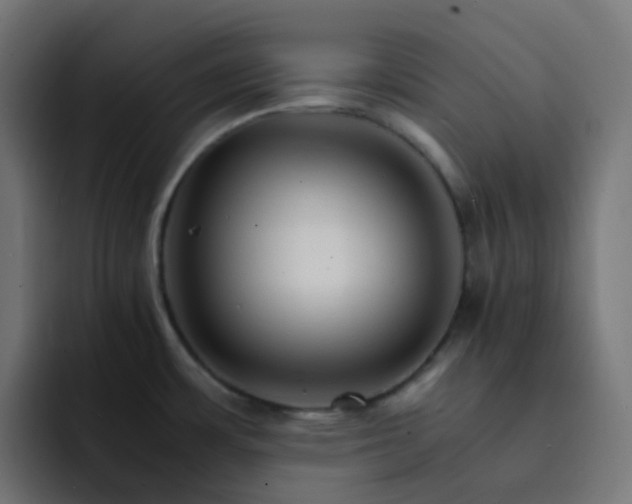 X0000093151483200710101126
