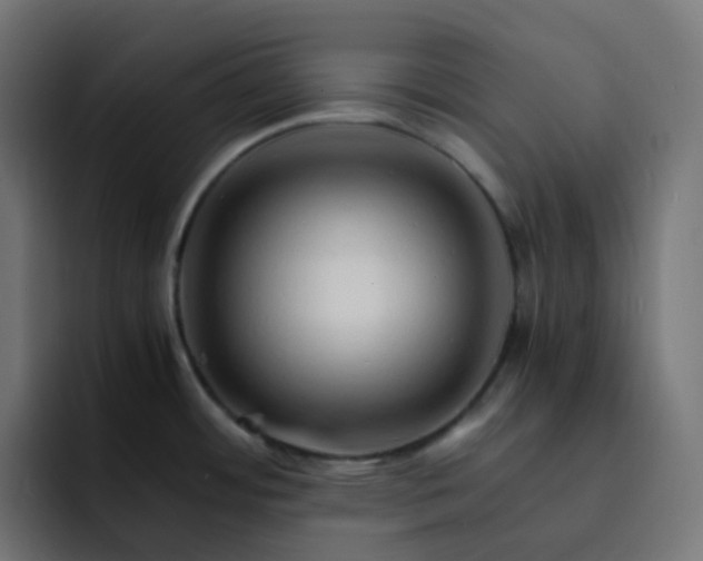 X0000093151484200710101126