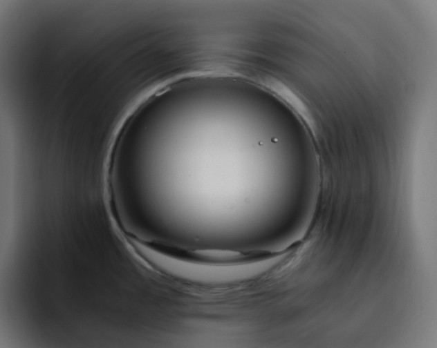 X0000093151485200710101126