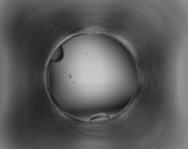 X0000093151486200710101126