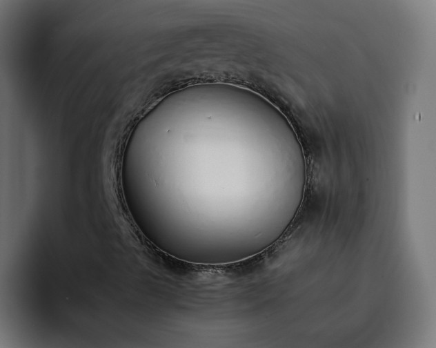 X0000093151489200710101126