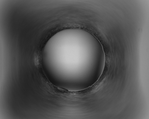 X0000093151490200710101126