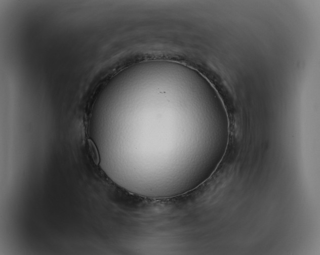 X0000093151493200710101126