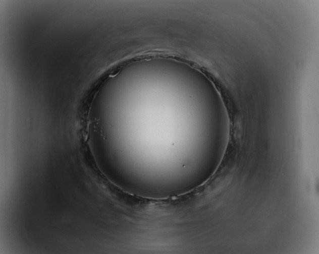 X0000093151496200710101126