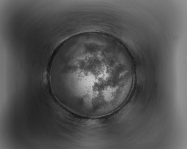 X0000093151497200710101126