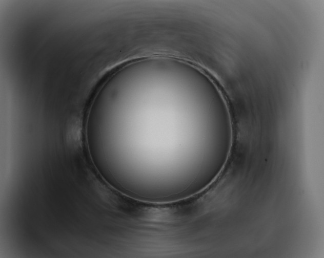 X0000093151499200710101126