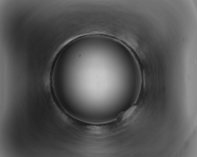 X0000093151500200710101126