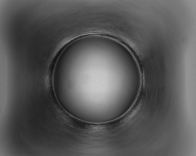 X0000093151501200710101126