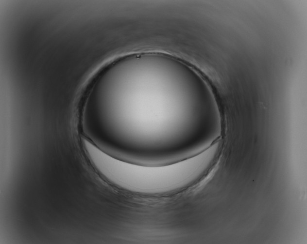 X0000093151502200710101126