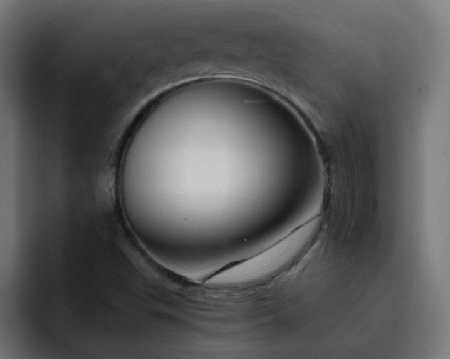 X0000093151503200710101126