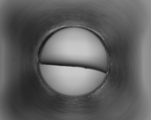 X0000093151507200710101126