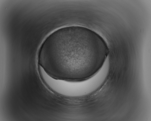 X0000093151508200710101126