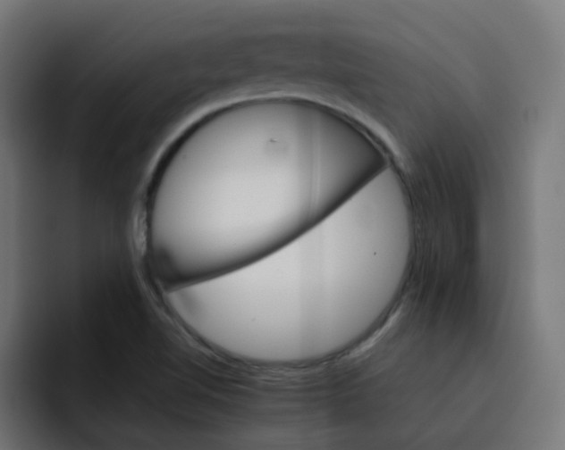 X0000093151510200710101126