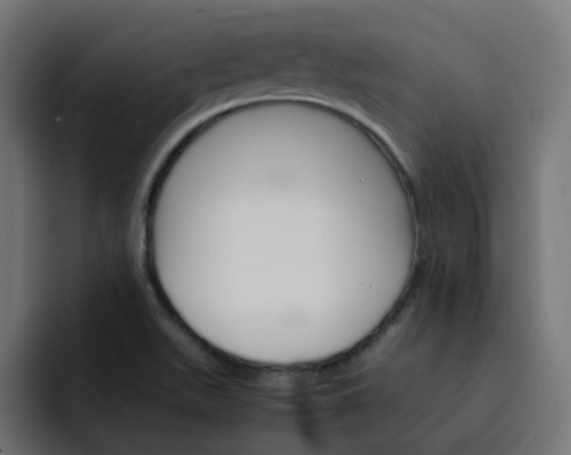 X0000093151511200710101126