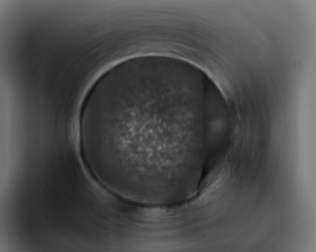 X0000093151515200710101126