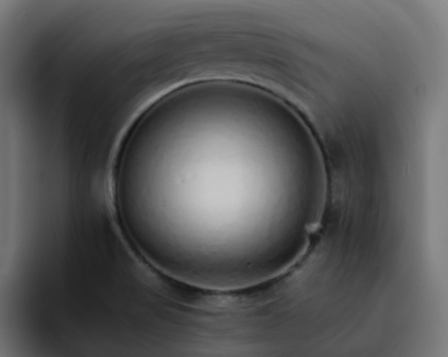 X0000093151517200710101126