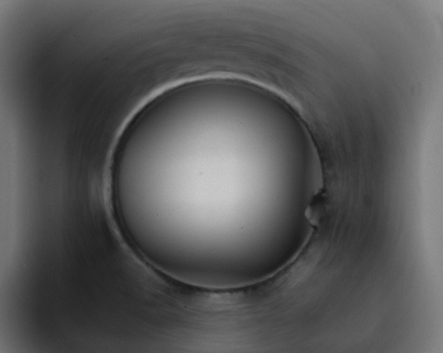 X0000093151518200710101126