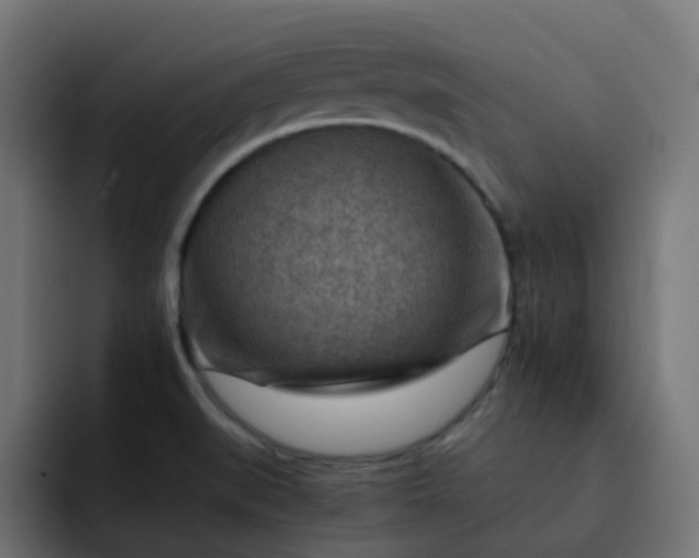 X0000093151519200710101126
