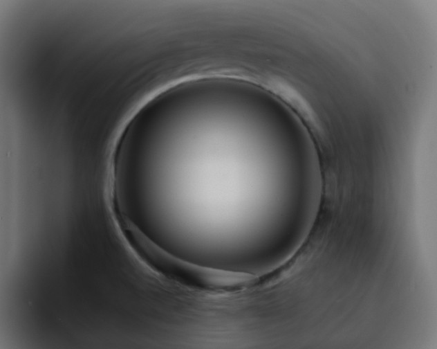X0000093151520200710101126