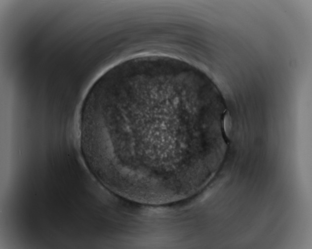 X0000093151522200710101126