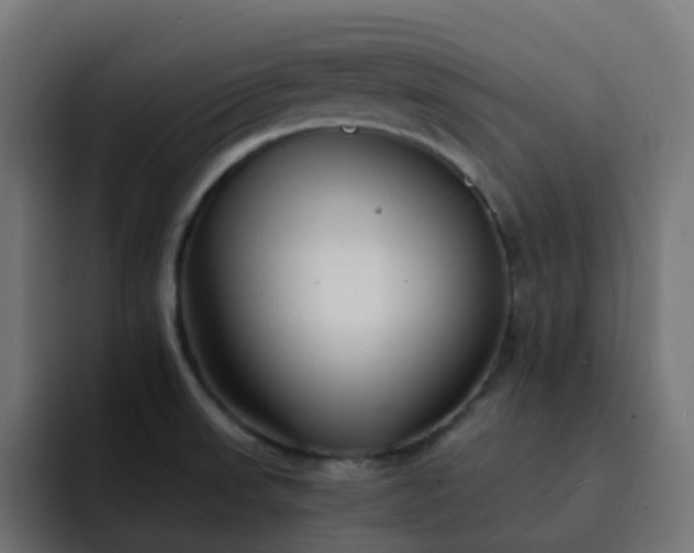 X0000093151523200710101126