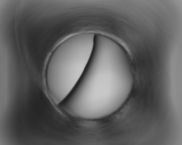 X0000093151525200710101126