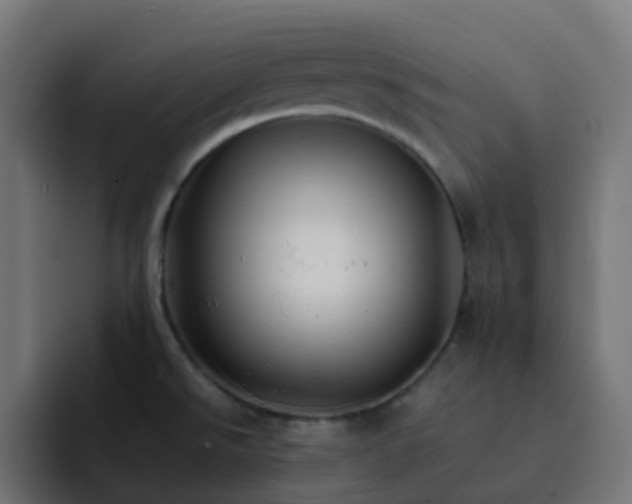 X0000093151526200710101126