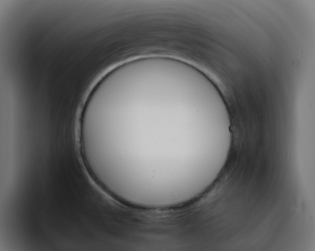 X0000093151527200710101126