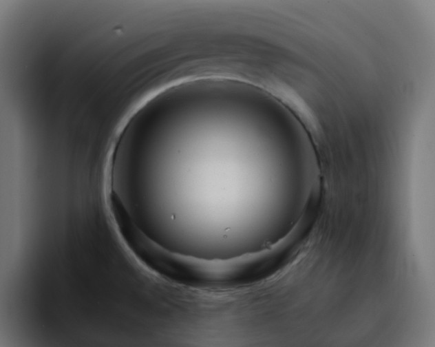 X0000093151528200710101126