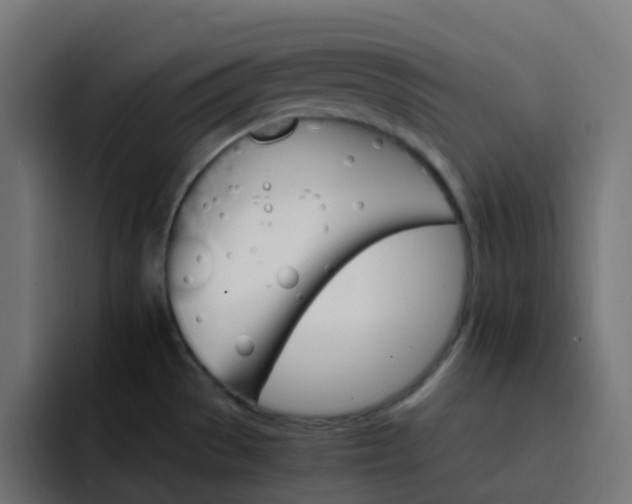X0000093151529200710101126