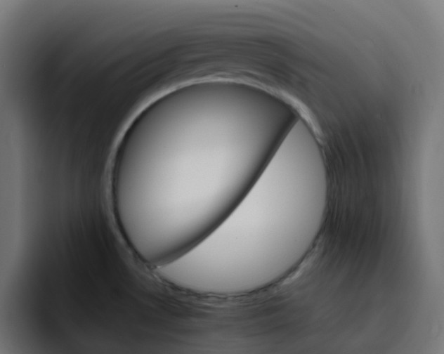 X0000093151530200710101126