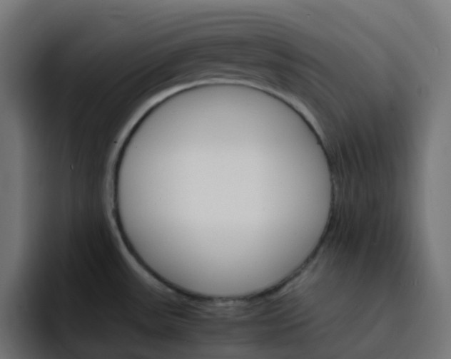 X0000093151531200710101126