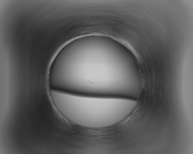 X0000093151532200710101126