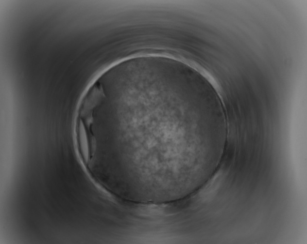 X0000093151533200710101126