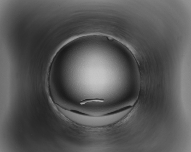 X0000093151534200710101126