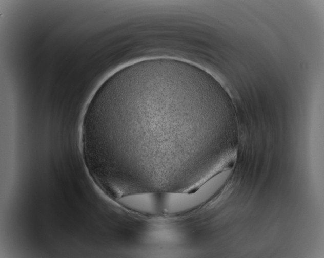 X0000093151535200710101126