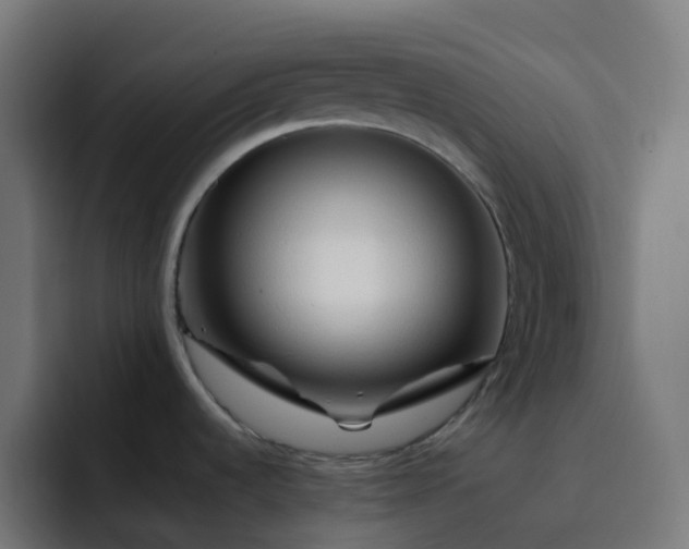 X0000093151536200710101126