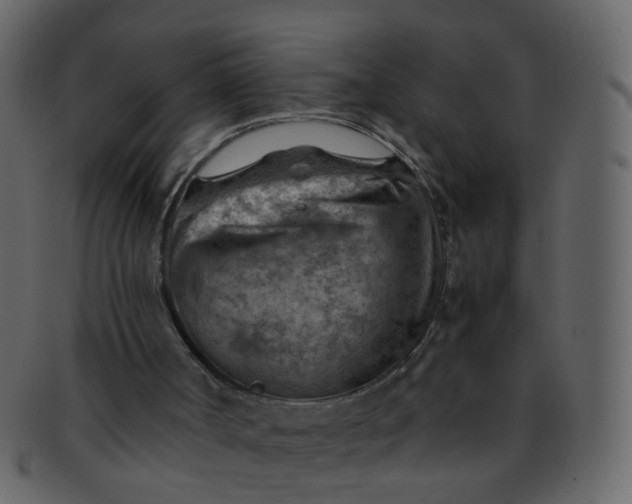 X0000093150002200710171400