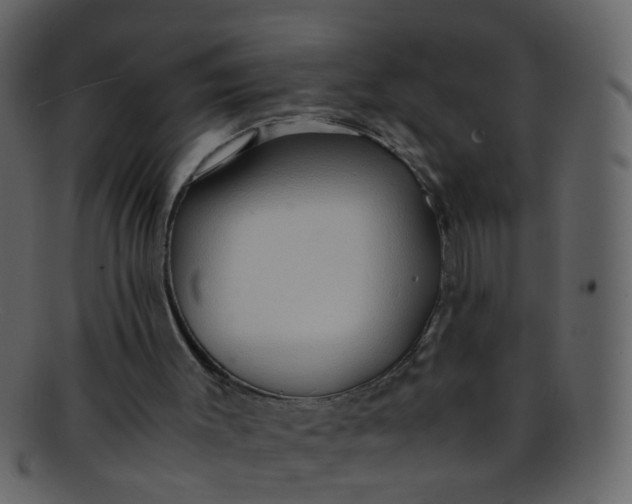 X0000093150003200710171400